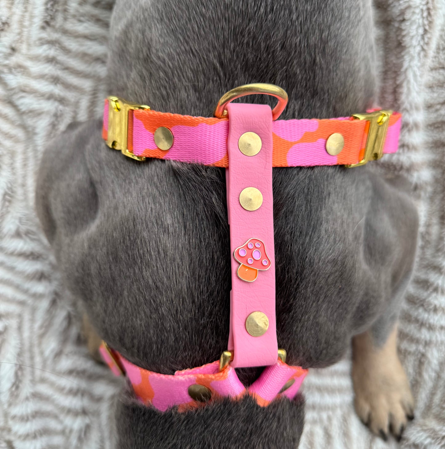Charm-Hundegeschirr aus recycelten Material (alle Muster)