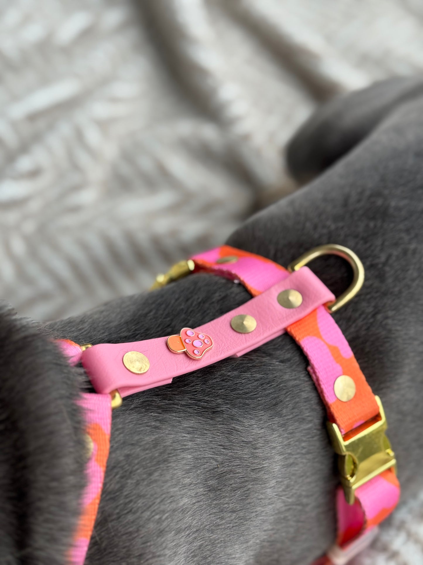 Charm-Hundegeschirr aus recycelten Material (alle Muster)